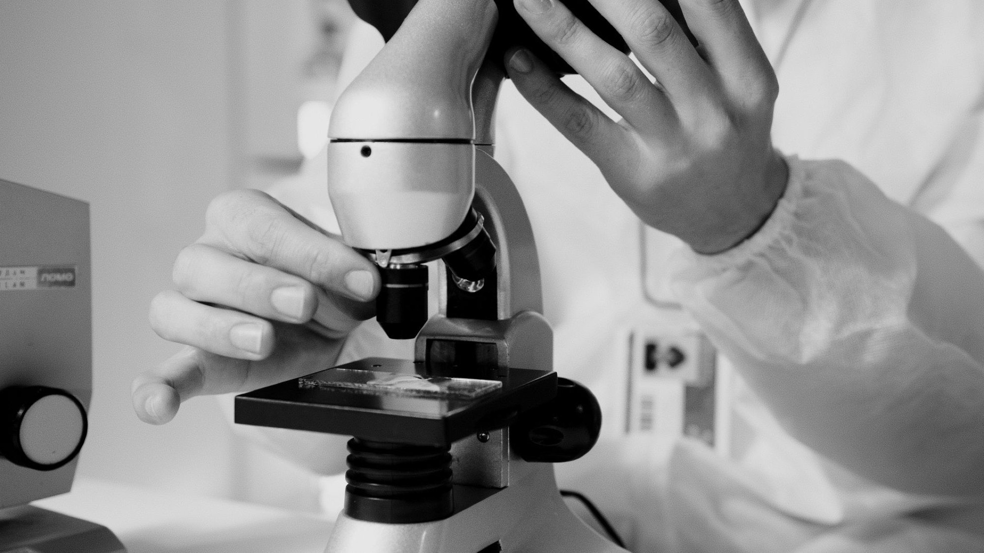 Live blood under a microscope